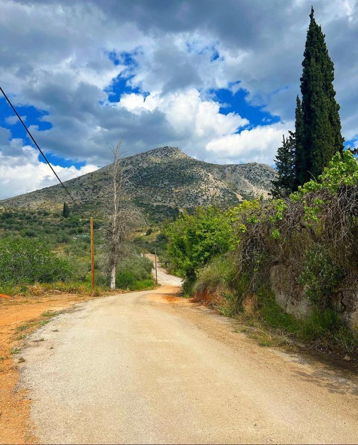 Sunny House At Ancient Mycenae, Close To Nafplio! Mykines Экстерьер фото